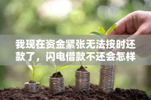 我现在资金紧张无法按时还款了，闪电借款不还会怎样