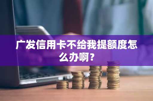 广发信用卡不给我提额度怎么办啊？