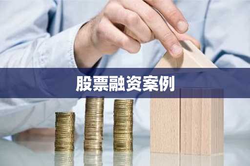 股票融资案例