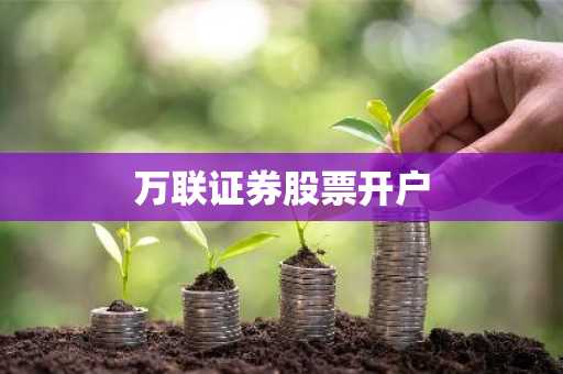 万联证券股票开户
