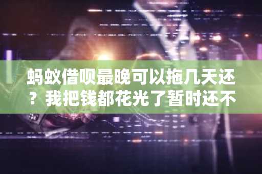 蚂蚁借呗最晚可以拖几天还？我把钱都花光了暂时还不了。