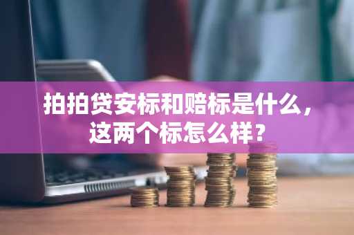 拍拍贷安标和赔标是什么，这两个标怎么样？
