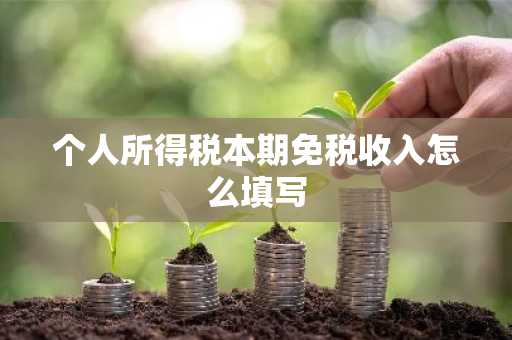 个人所得税本期免税收入怎么填写