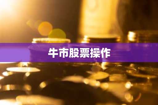 牛市股票操作