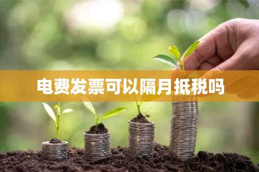 电费发票可以隔月抵税吗