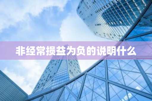 非经常损益为负的说明什么