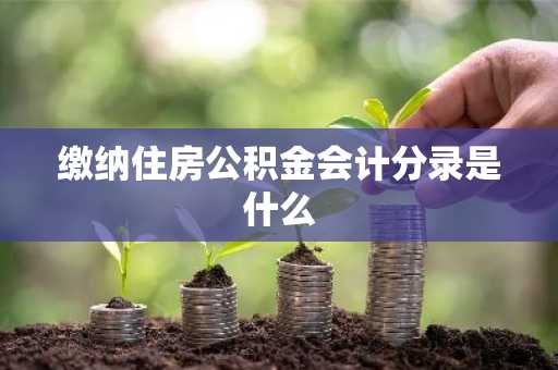 缴纳住房公积金会计分录是什么