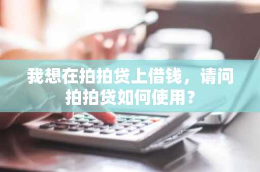 我想在拍拍贷上借钱，请问拍拍贷如何使用？