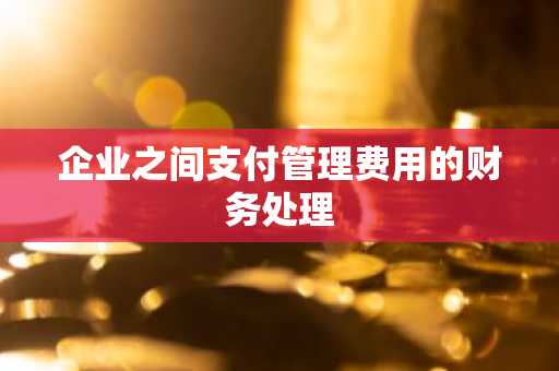 企业之间支付管理费用的财务处理