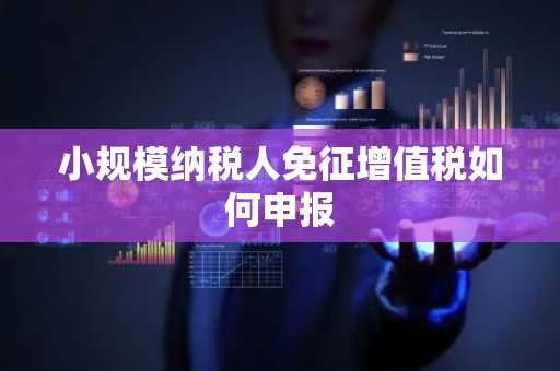 小规模纳税人免征增值税如何申报