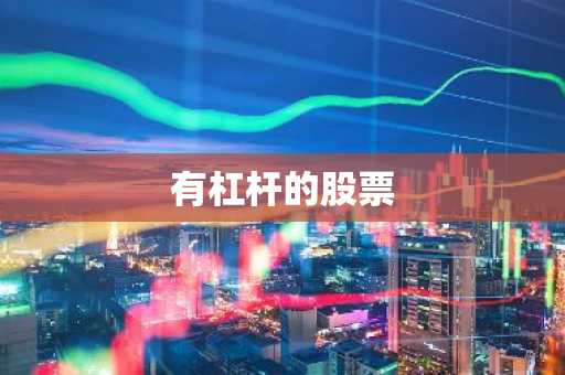 有杠杆的股票