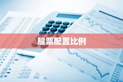 股票配置比例