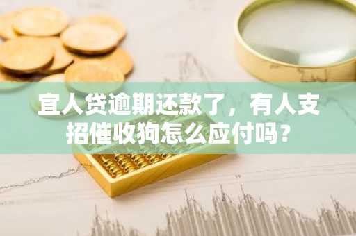 宜人贷逾期还款了，有人支招催收狗怎么应付吗？