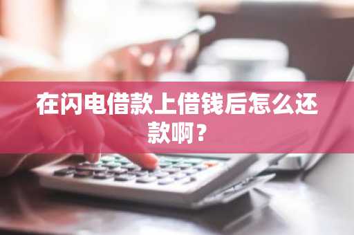 在闪电借款上借钱后怎么还款啊？
