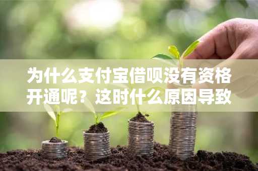 为什么支付宝借呗没有资格开通呢？这时什么原因导致的呢？