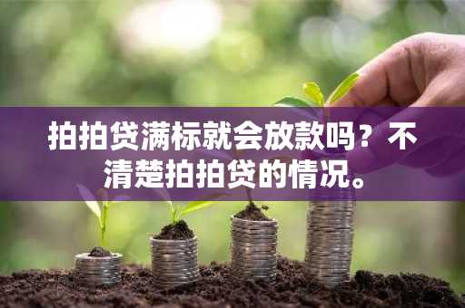 拍拍贷满标就会放款吗？不清楚拍拍贷的情况。
