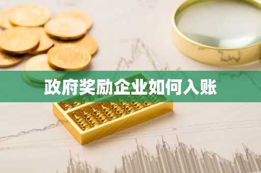 政府奖励企业如何入账