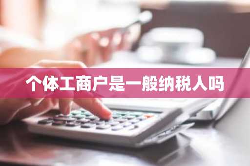 个体工商户是一般纳税人吗
