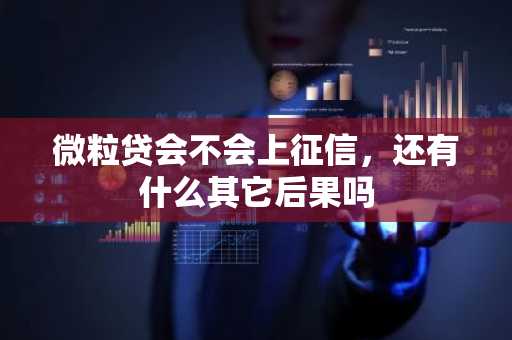 微粒贷会不会上征信，还有什么其它后果吗
