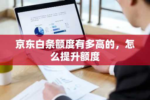 京东白条额度有多高的，怎么提升额度