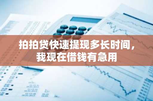 拍拍贷快速提现多长时间，我现在借钱有急用