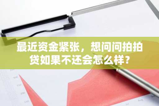 最近资金紧张，想问问拍拍贷如果不还会怎么样？