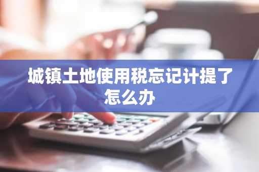 城镇土地使用税忘记计提了怎么办