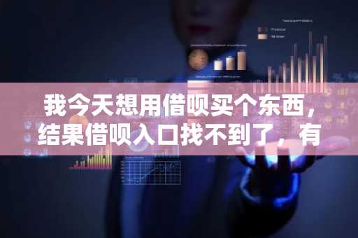 我今天想用借呗买个东西，结果借呗入口找不到了，有人知道是怎么回事么？