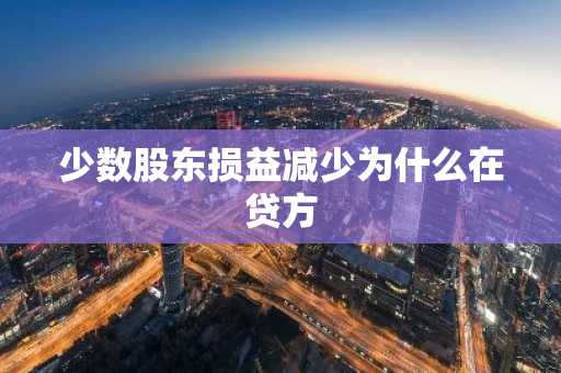 少数股东损益减少为什么在贷方