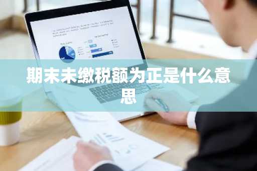 期末未缴税额为正是什么意思
