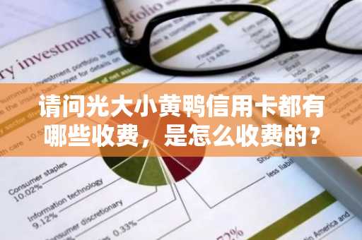请问光大小黄鸭信用卡都有哪些收费，是怎么收费的？