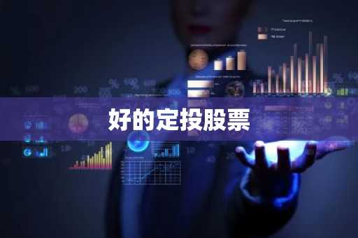 好的定投股票