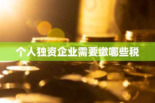 个人独资企业需要缴哪些税