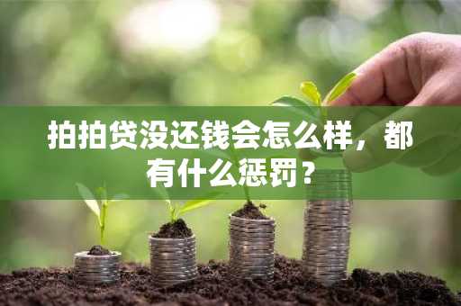 拍拍贷没还钱会怎么样，都有什么惩罚？