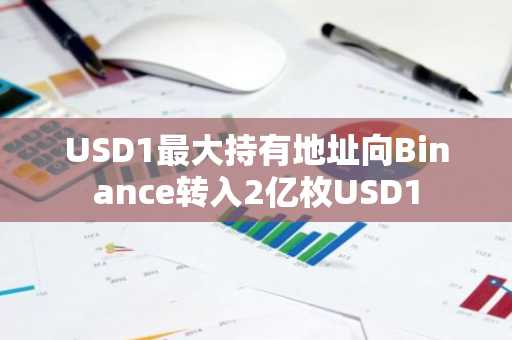 USD1最大持有地址向Binance转入2亿枚USD1