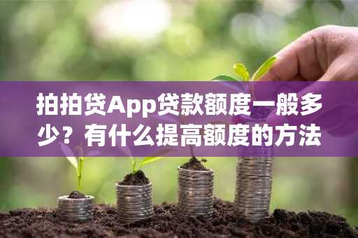 拍拍贷App贷款额度一般多少？有什么提高额度的方法？