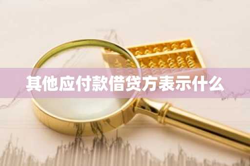 其他应付款借贷方表示什么