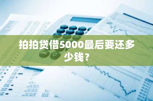 拍拍贷借5000最后要还多少钱？