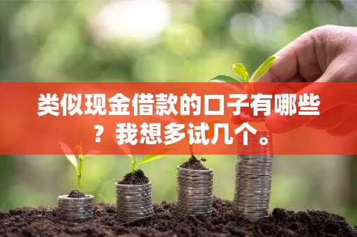 类似现金借款的口子有哪些？我想多试几个。