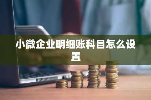 小微企业明细账科目怎么设置