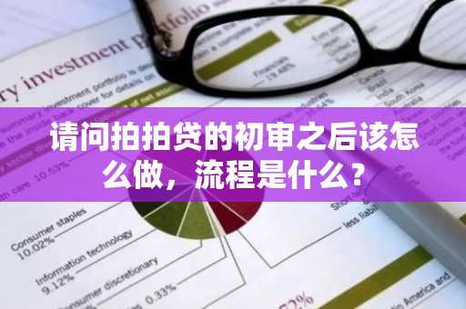 请问拍拍贷的初审之后该怎么做，流程是什么？
