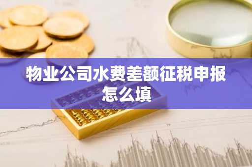 物业公司水费差额征税申报怎么填