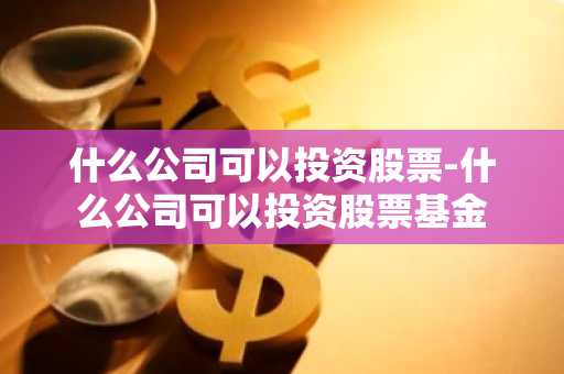 什么公司可以投资股票-什么公司可以投资股票基金