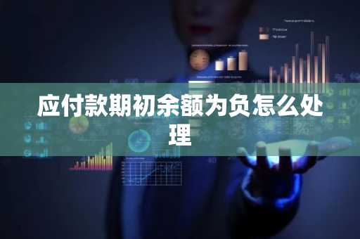 应付款期初余额为负怎么处理
