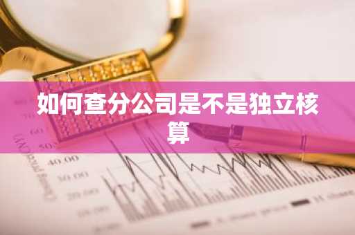 如何查分公司是不是独立核算