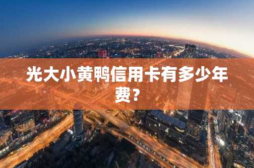 光大小黄鸭信用卡有多少年费？