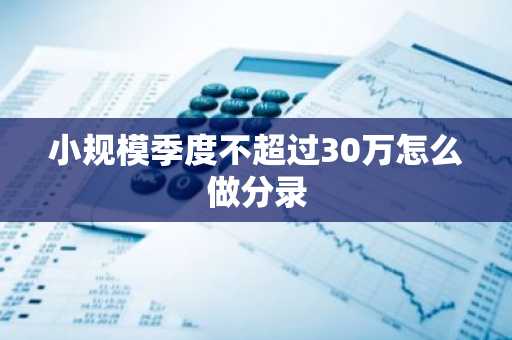 小规模季度不超过30万怎么做分录