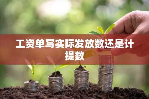 工资单写实际发放数还是计提数