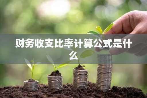 财务收支比率计算公式是什么