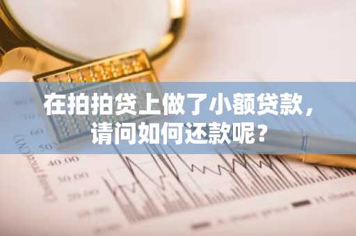 在拍拍贷上做了小额贷款，请问如何还款呢？